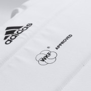 adiP03 logo