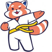 Judogi KODOMO adidas