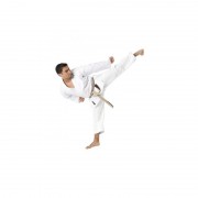 KARATE GI TOKAIDO JAPON