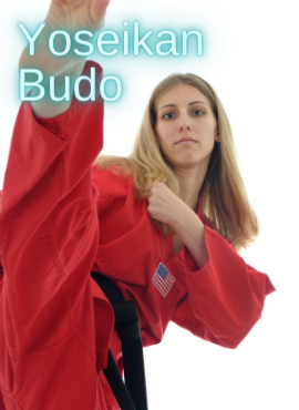 Yoseikan Budo