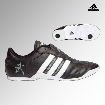 adiWS01