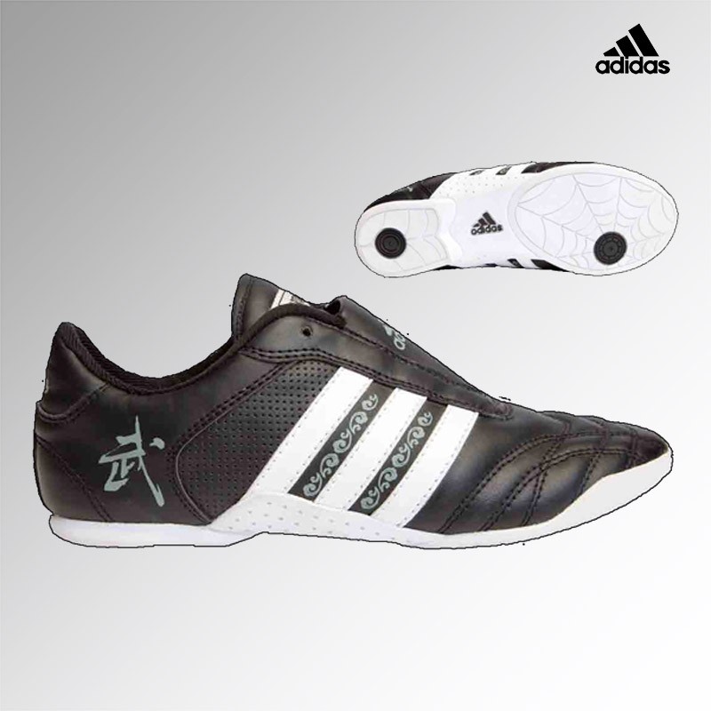 adiWS01