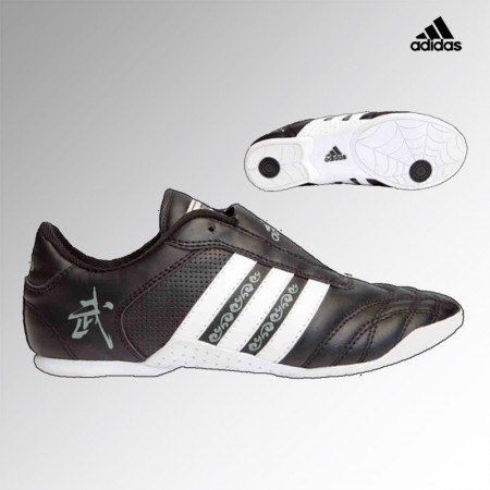 adiWS01