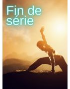 Fin de Séries MMA