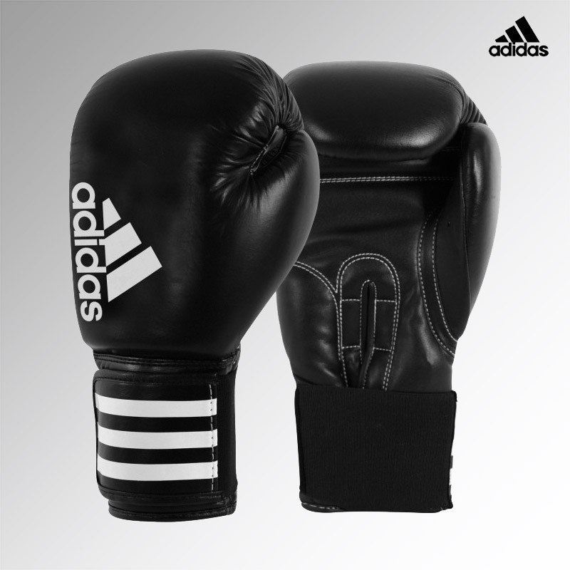 adiBC01