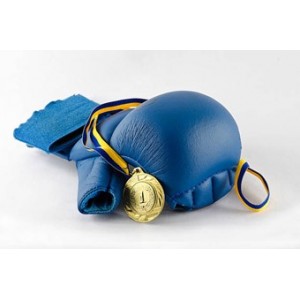 Protections Karaté