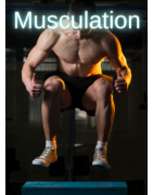Musculation Boxe