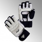 adiTFG01