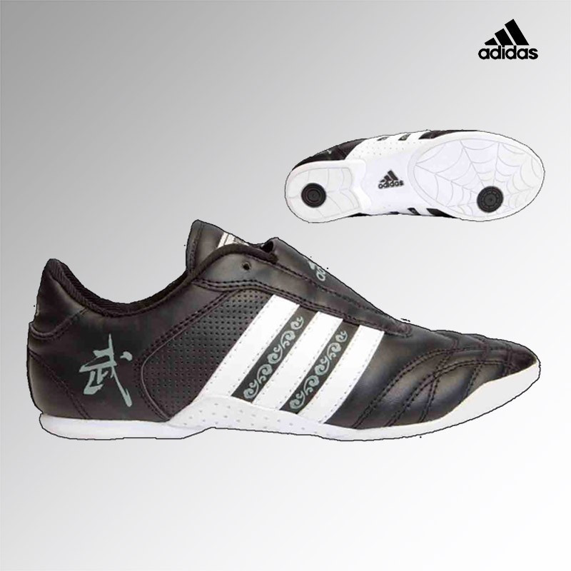 adiWS01