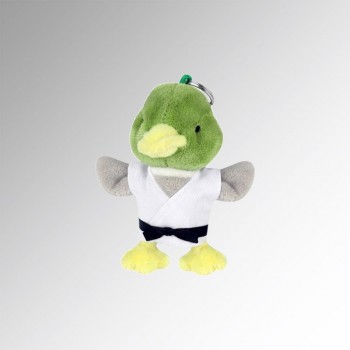 2019002147 canard