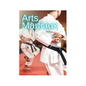 Arts Martiaux