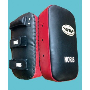 PAO NORIS-WBE