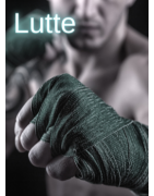 Lutte
