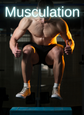 Musculation Boxe
