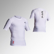 adiTS311T