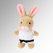 2019004198 Lapin