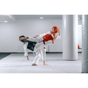 Protections Taekwondo