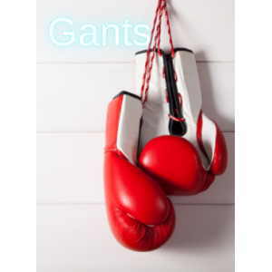 Gants de boxe
