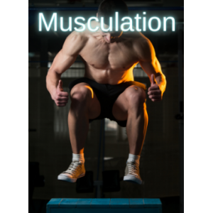 Musculation Boxe
