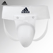 adiBP06.1