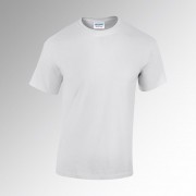 GD005WH