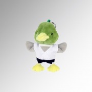 2019002147 canard